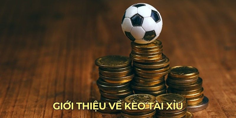 Giới thiệu về kèo Tài Xỉu