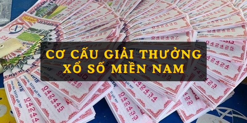 Cập nhật cơ cấu giải thưởng XSMN chi tiết